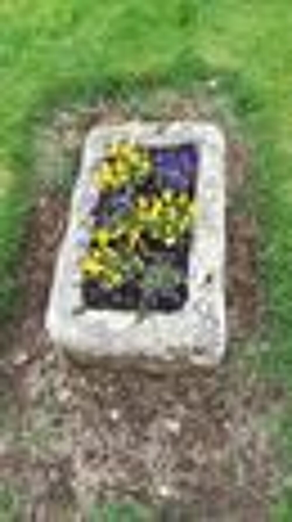 Auge ancienne Jardin