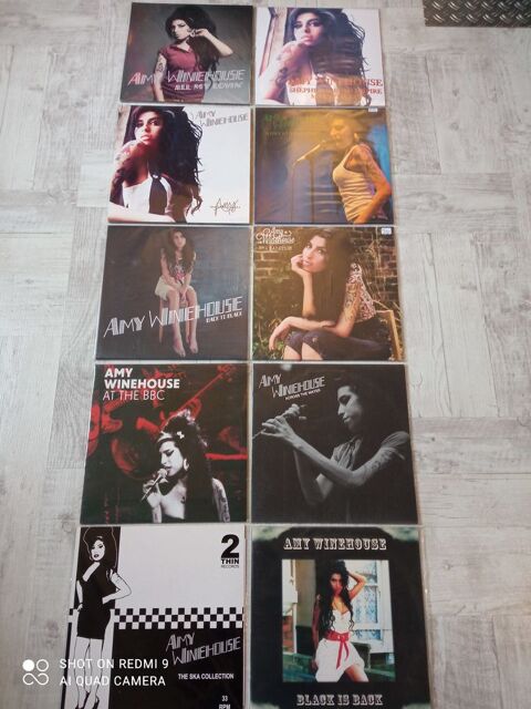  VINYL89 / Prince / Amy Winehouse /   0 Saint-Valrien (89)