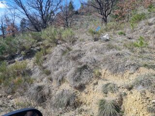  Terrain � vendre 20000 m�