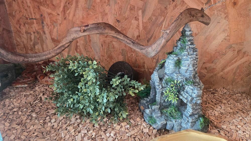 Terrarium+++Pythons+++&eacute;laphe Meubles