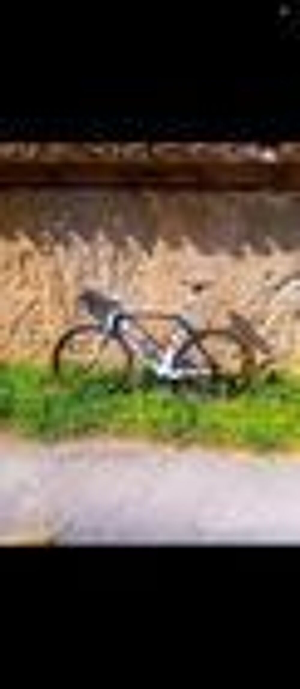 cipollini a&eacute;ro Vélos