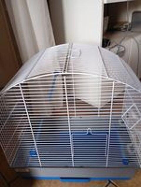   Cage oiseaux 