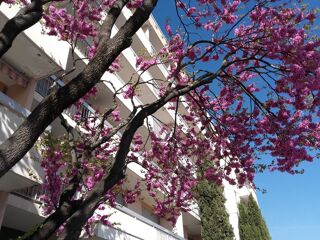  Appartement � vendre 2 pi�ces 54 m�