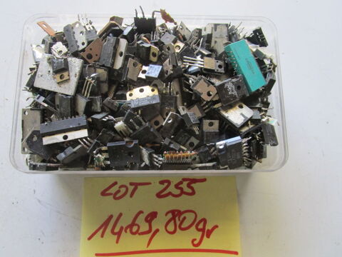 Puces ordinateurs plastic 45 Illzach (68)