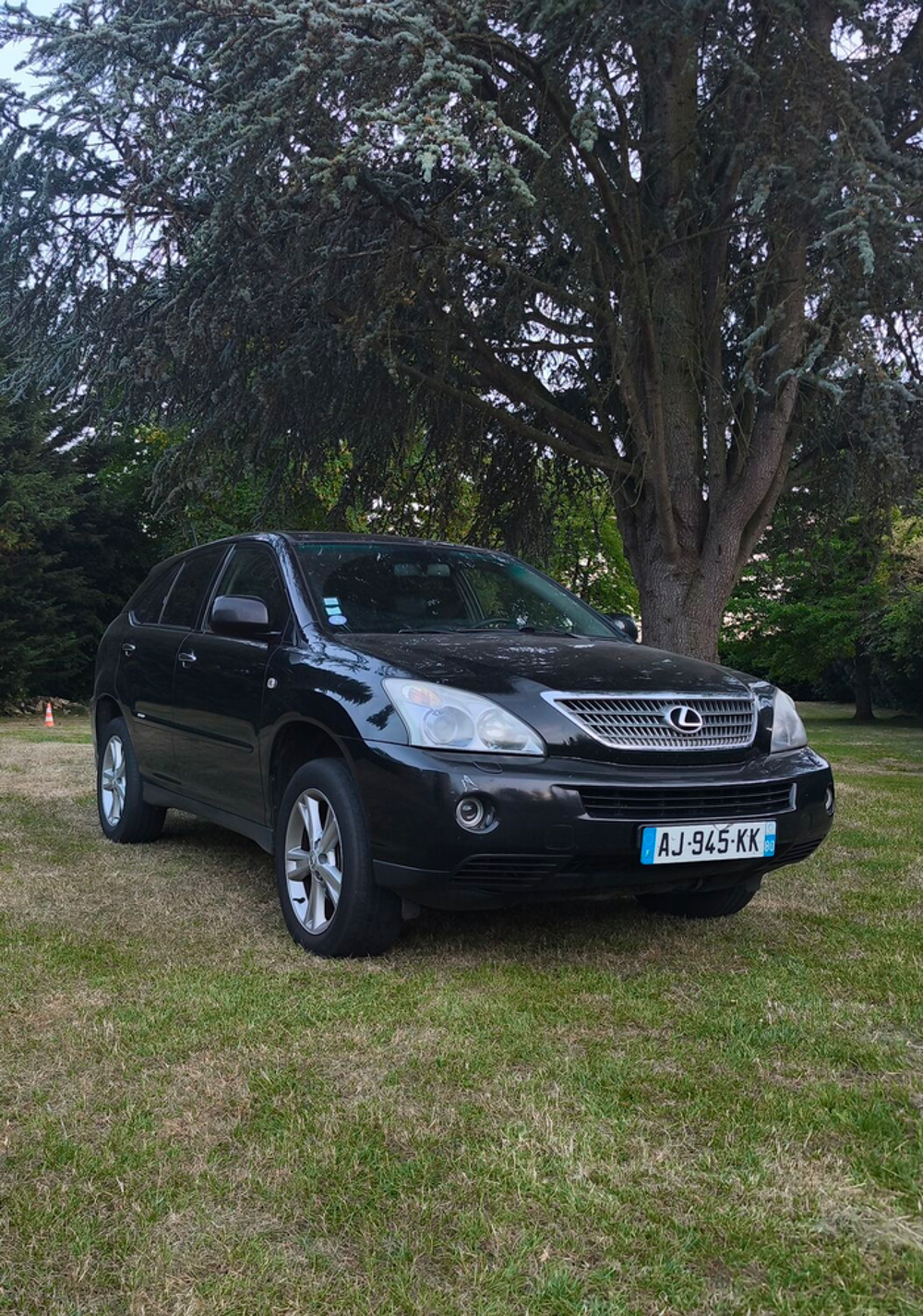 RX 400h 3.3 V6 Pack Luxe E-CVT 2008 occasion 60190 Cressonsacq
