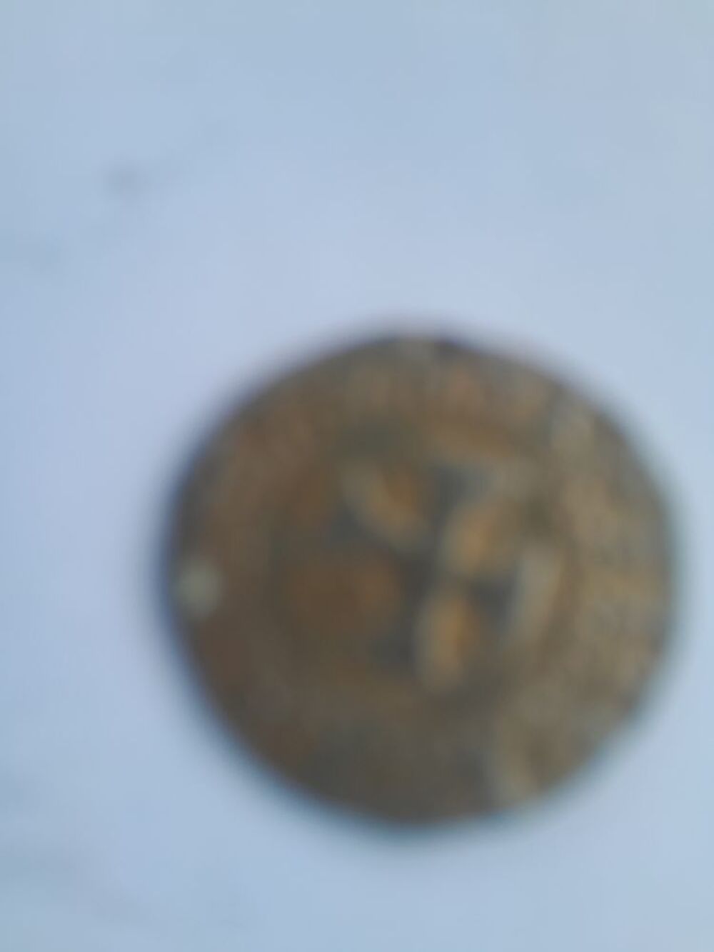monnaie 