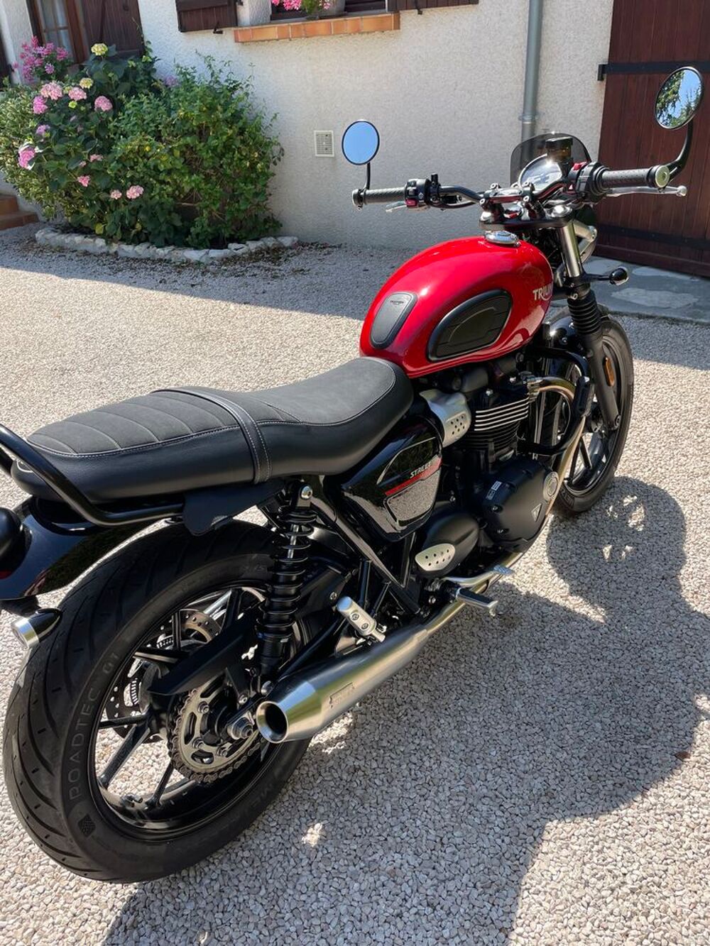 TRIUMPH 2019 occasion 31800 Saint-Gaudens