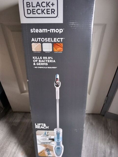 nettoyeur vapeur 70 Lye (36)