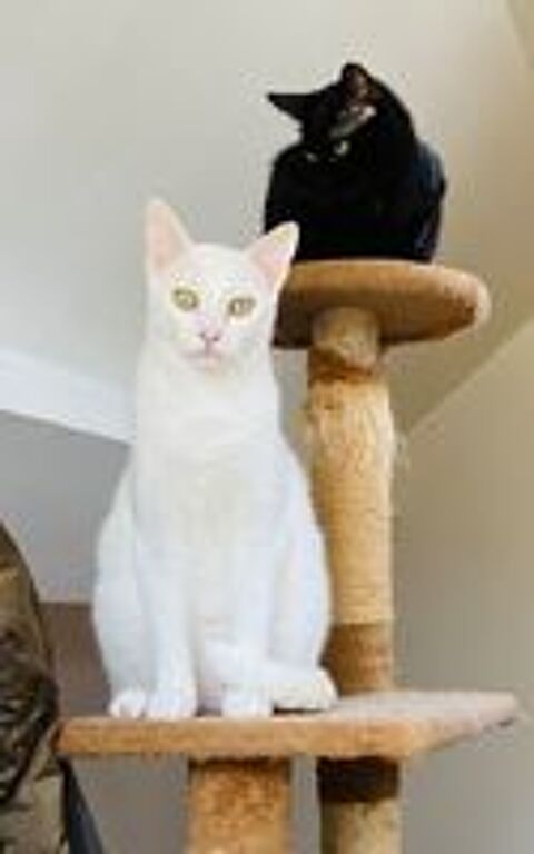   EVANGELINE, la sportive ! accrochez-vous ... 