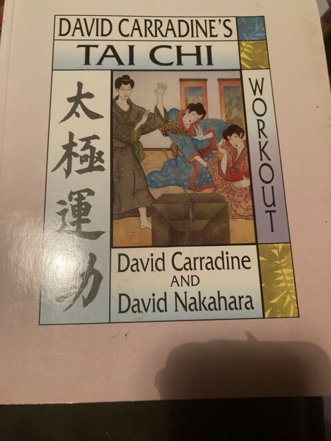 DAVID CARRADINE TAI CHI WORKOUT 120 pages (mint) 4 Saint-Brieuc (22)