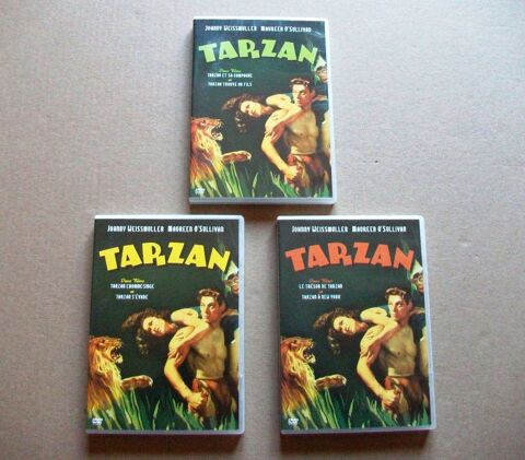 LOT 3 D.V.D. Tarzan (2004) 11 Castelnaudary (11)