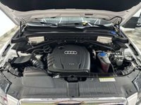 Q5 2.0 TDI 170 DPF Quattro Ambiente 2011 occasion 06600 Antibes