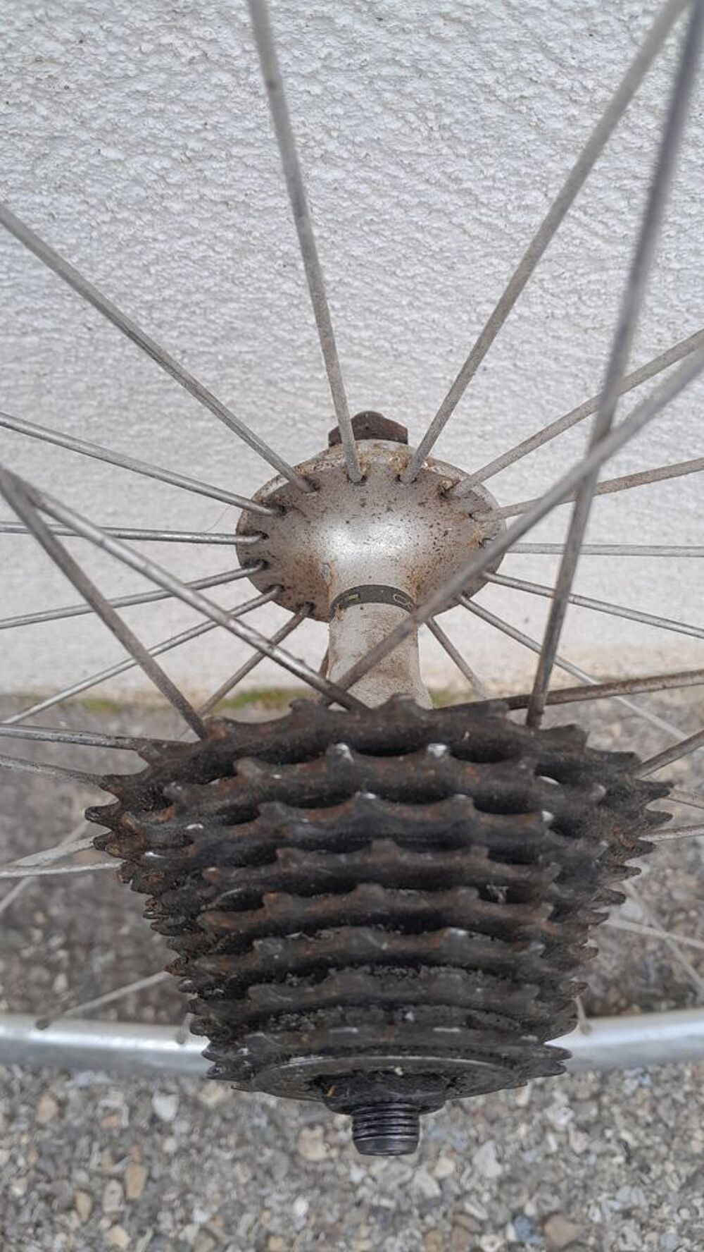 roue arriere 700 - 8 vitesses ''campagnolo'' 
Vélos
