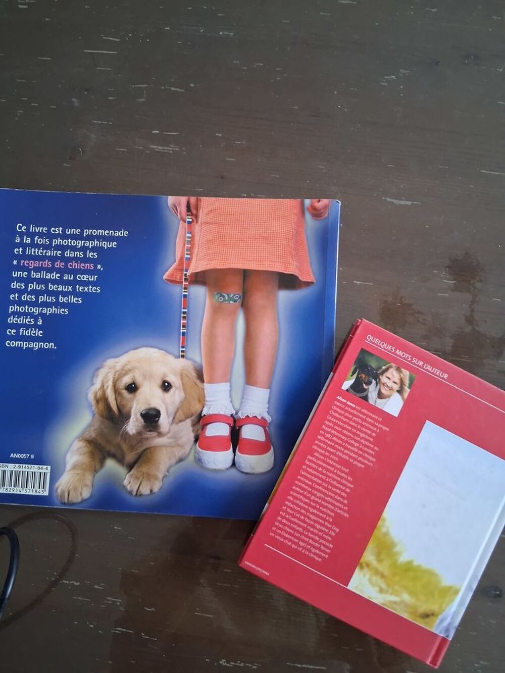 Divers livres animaux Livres et BD