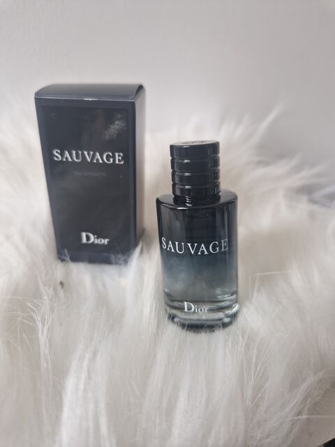 Miniature Sauvage de Dior 0 Saint-Aubin-d'Aubign (35)