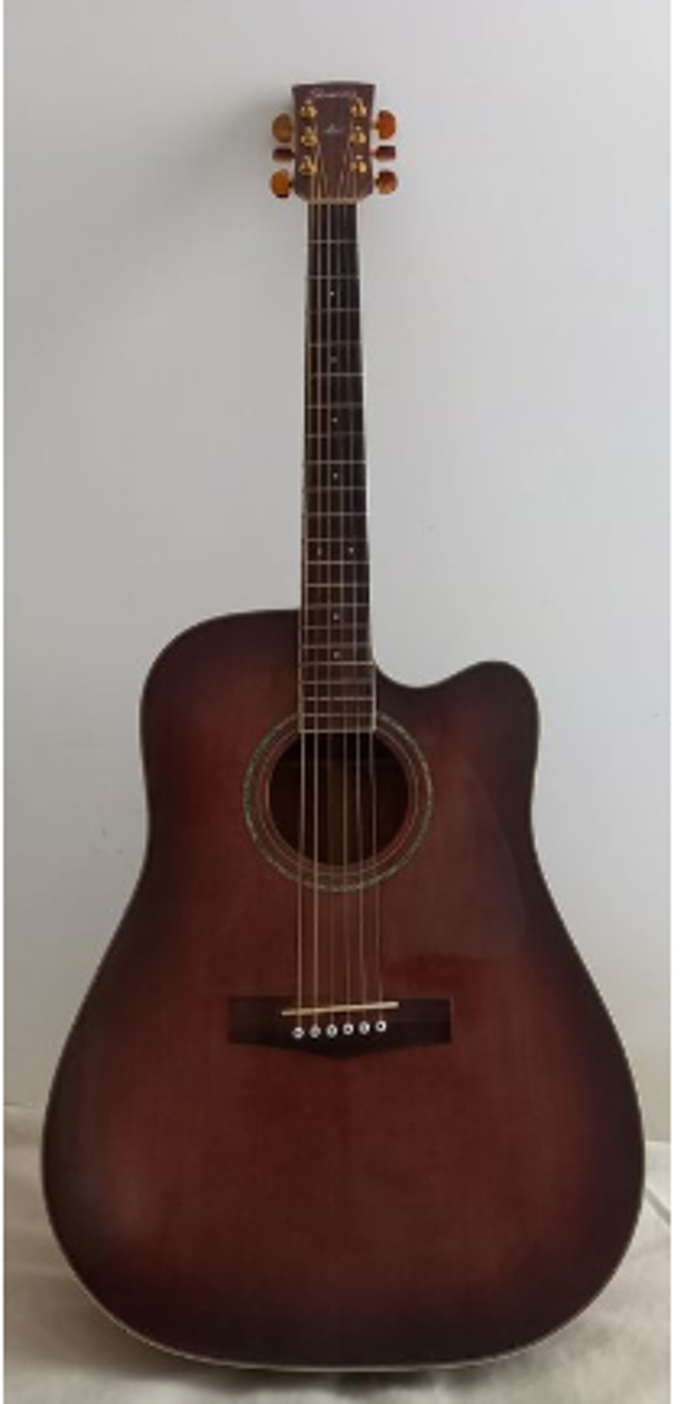 Guitare Electro - Acoustique Instruments de musique
