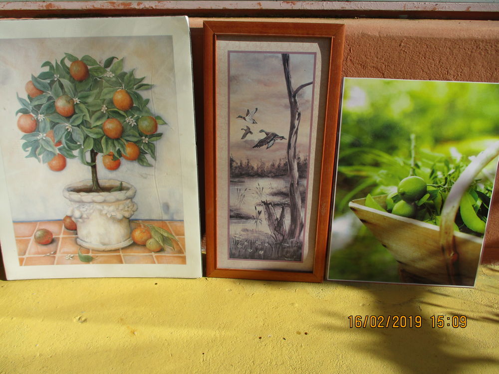 Lot 3 cadres citrons+oranger+canards Décoration