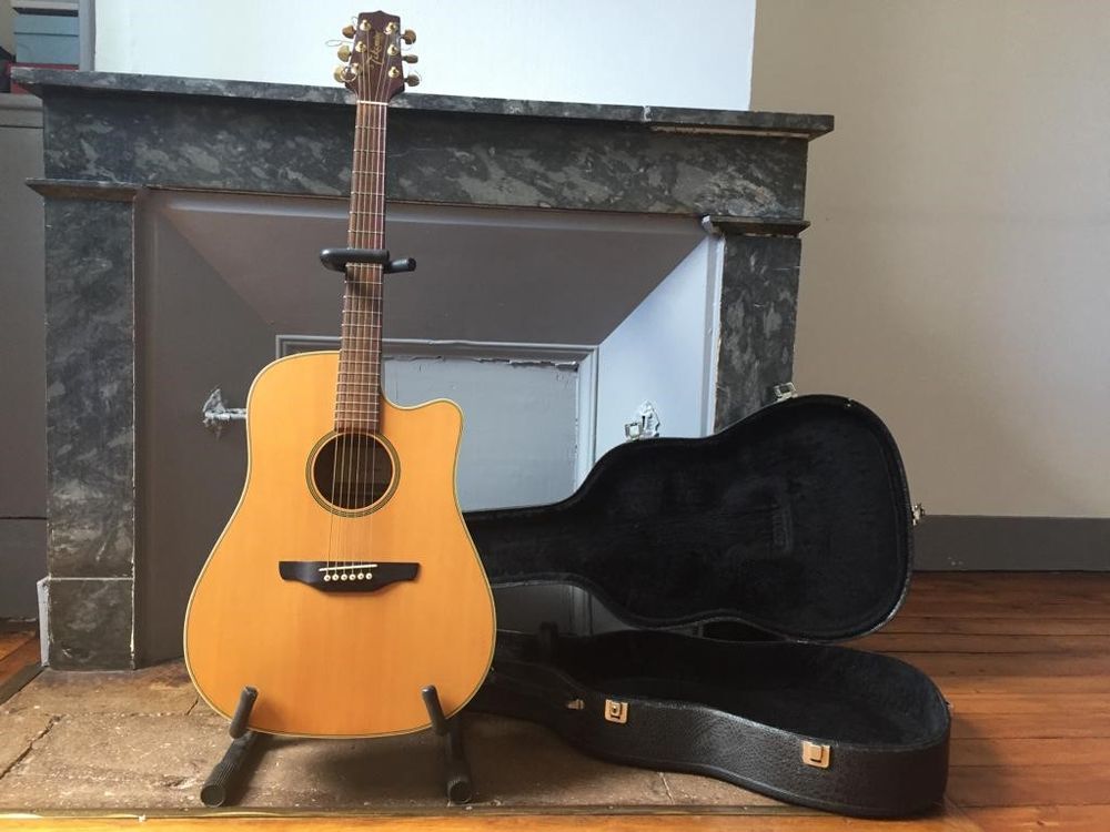 Achetez guitare acoustique occasion annonce vente Toulouse 31