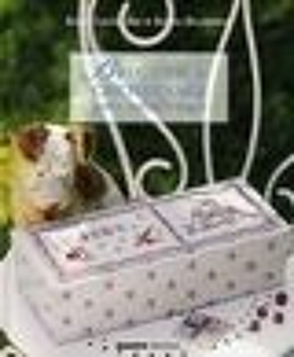 Broderie et cartonnage pour enfants sages Livres et BD