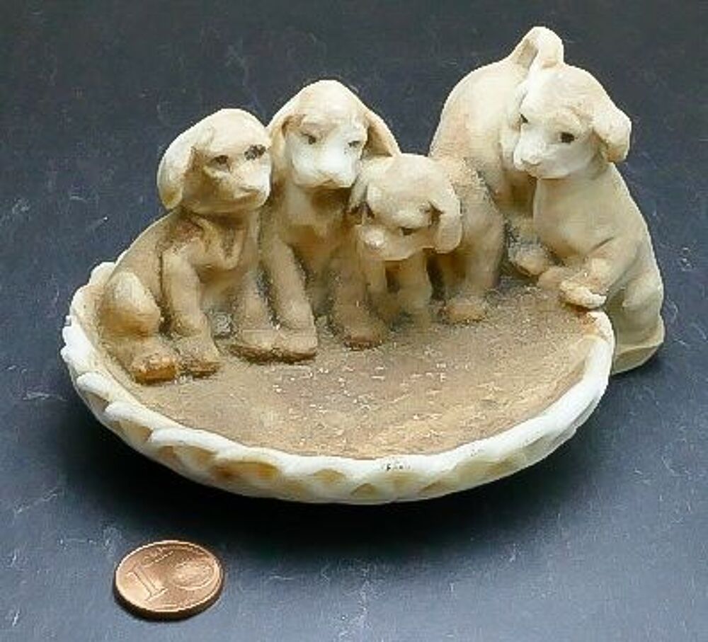 Petit chien vide poche.
