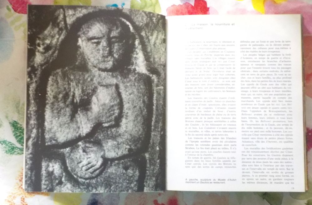 LES CELTES par Georges DOTTIN Ed. Minerva France Loisirs Livres et BD