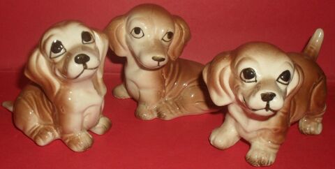 3 adorables chiens Neufs. 15 Montreuil (93)