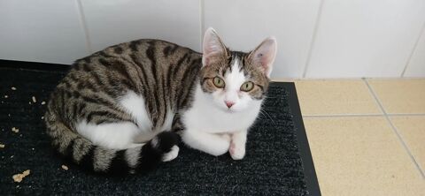 Kimi 230 44000 Nantes