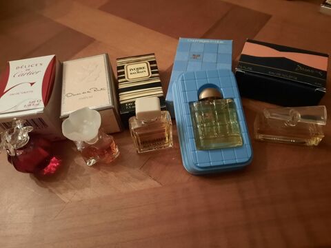 5 miniatures parfum 15 Poitiers (86)