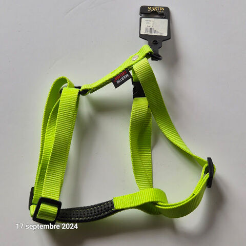 Harnais chien rglable,  taille moyenne vert pomme 49400 Saumur