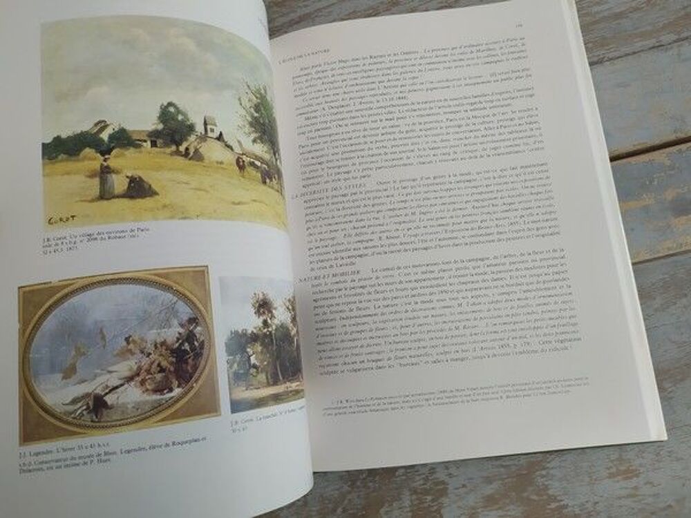 Livre Paysage et Soci&eacute;t&eacute; 1800 -1900 L'&eacute;cole de la nature T5 Livres et BD