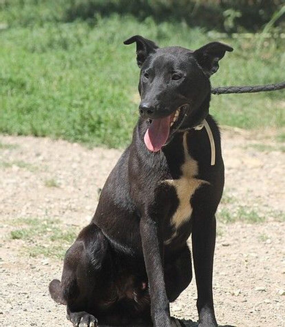   DARKO  