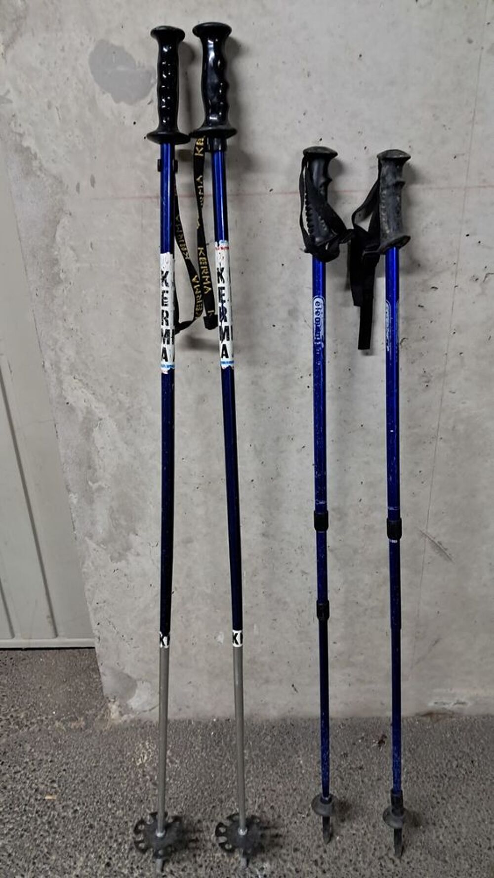 B&acirc;tons de ski Sports