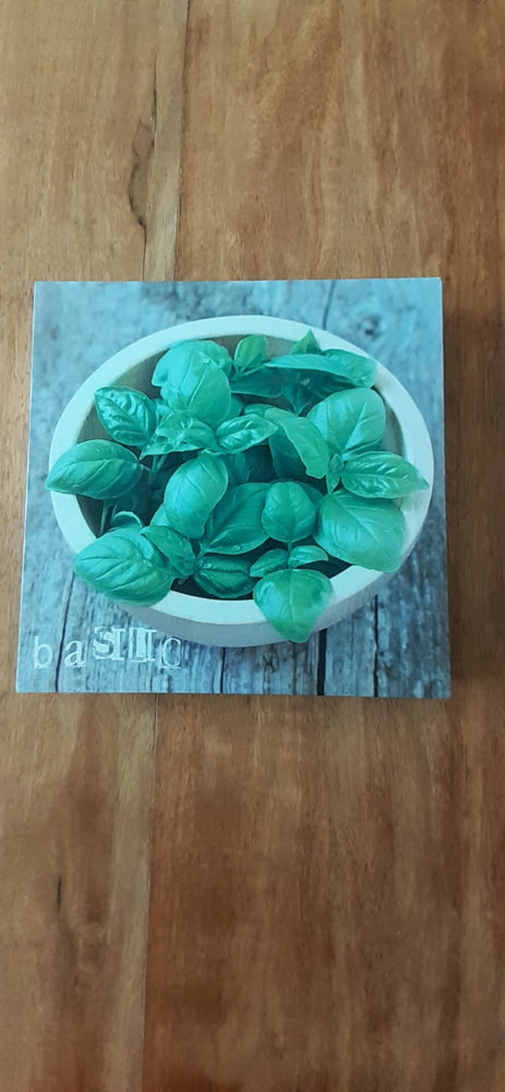 lot de 2 tableaux Motif Herbes Aromatiques Décoration