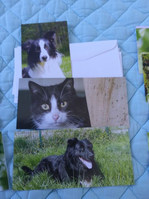 CARTES fleurs et animaux 5 Saint-Etienne (42)