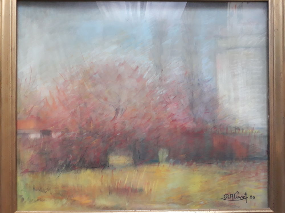 PASTEL SOUS VERRE AVEC SON CADRE Décoration
