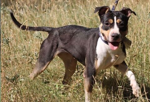 Flow 230 26700 Pierrelatte