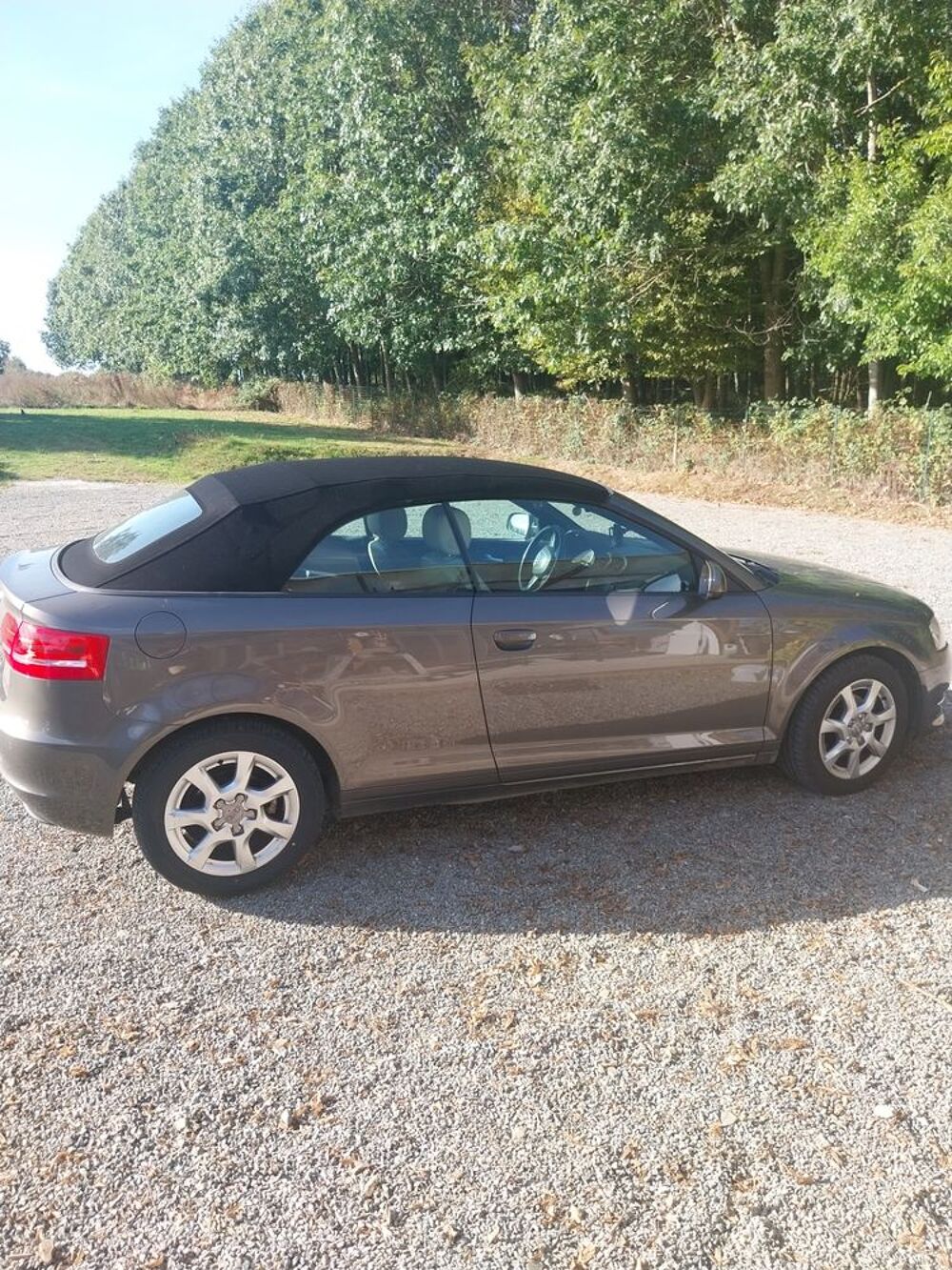A3 Cabriolet 1.6 TDI 105 DPF Attraction 2009 occasion 35230 Org&egrave;res