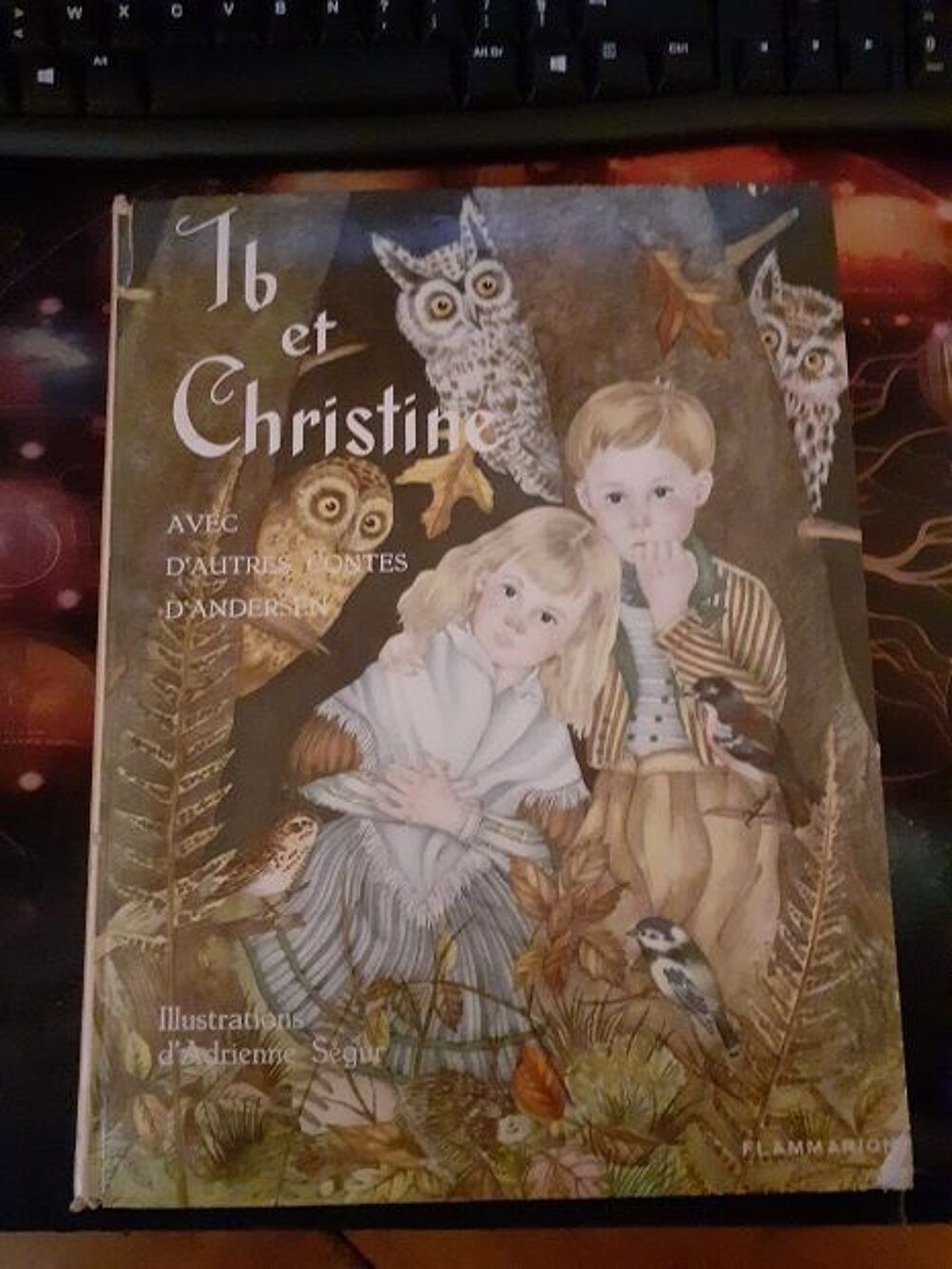 2 Livres de conte D'ANDERSEN belles illustrations Livres et BD