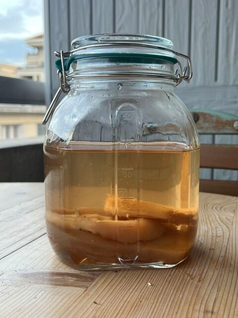 Kombucha 5 Villeurbanne (69)