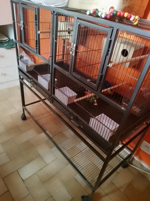 Cage oiseaux 150 28160 Dampierre-sous-brou