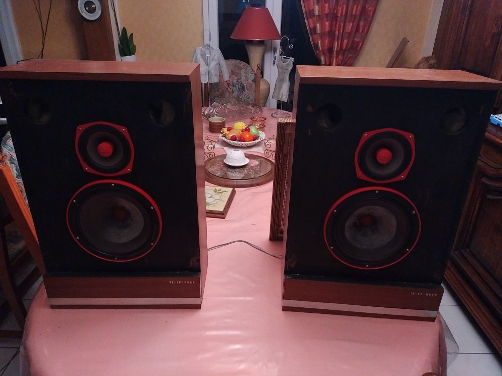 panneau musical cabasse 60' Audio et hifi