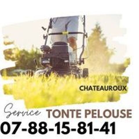   Entretien espaces verts & petits travaux ? Châteauroux 