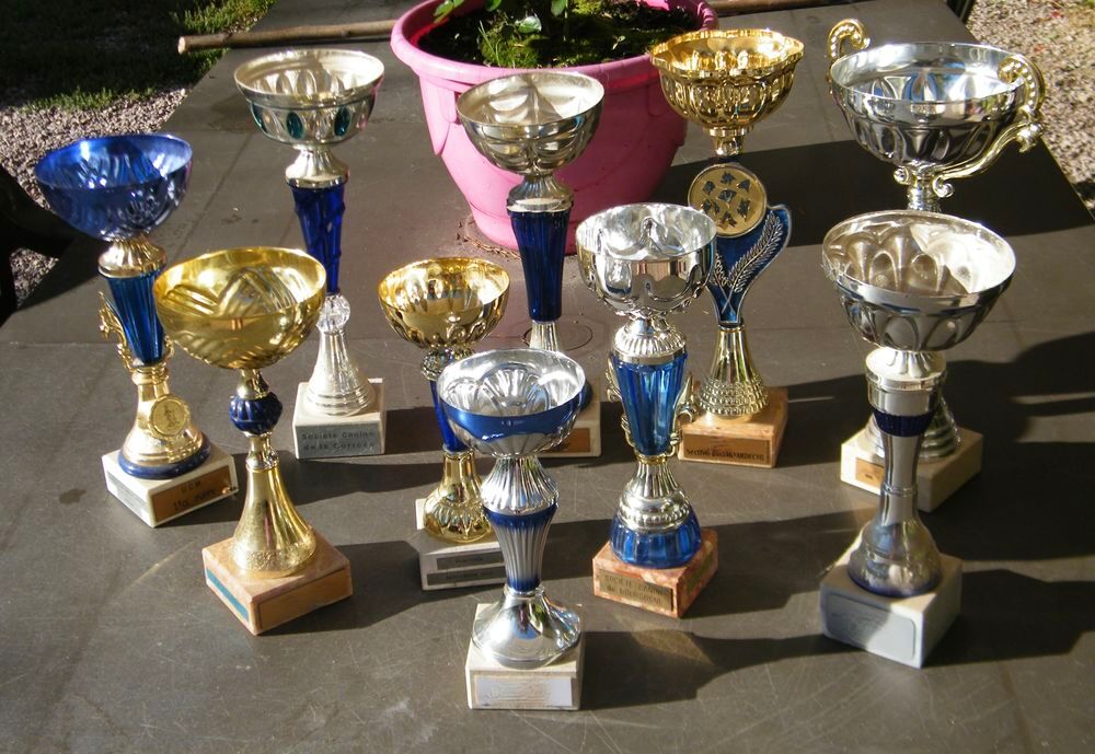 Troph&eacute;es et coupes 