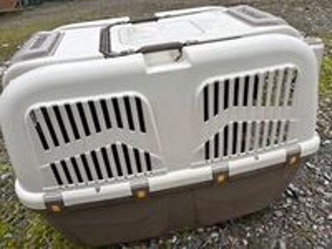   varicanelle pour gros chien 