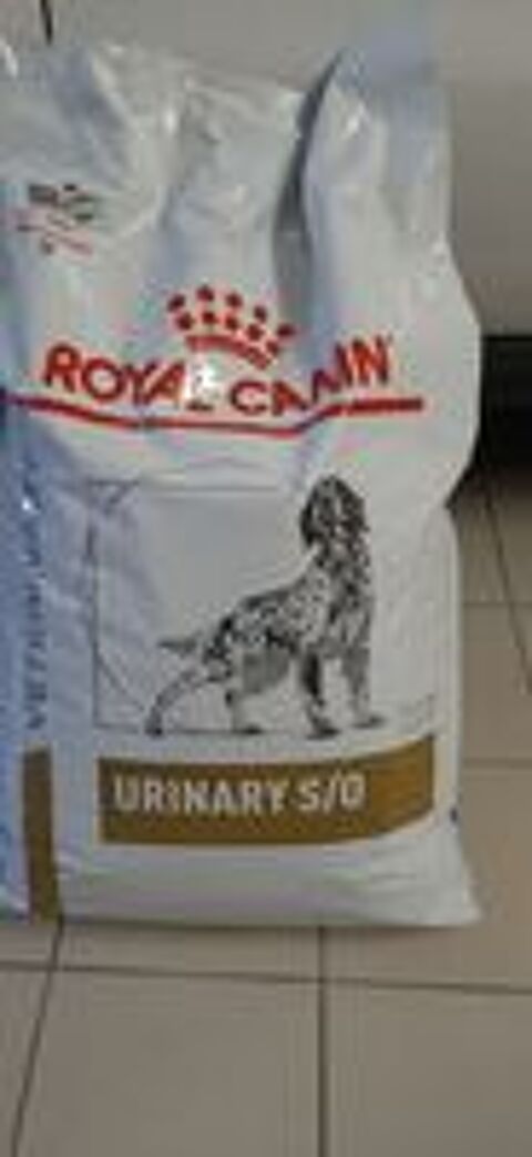   Nourriture pour chiens 