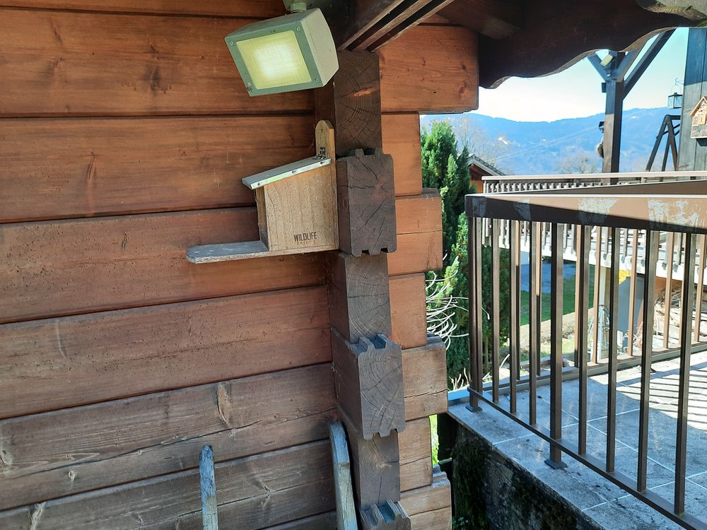Chalet madriers Jardin