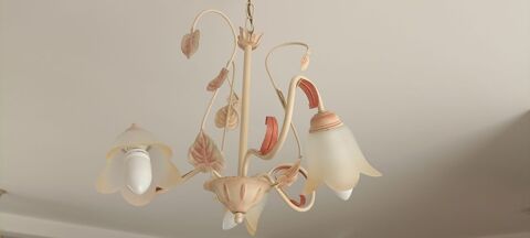 Lot de deux lustres assortis 100 La Peyrade (34)