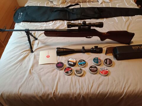 Assortiment de boites de plomds diamtre 4.5 mm 120 Labastide-Saint-Georges (81)