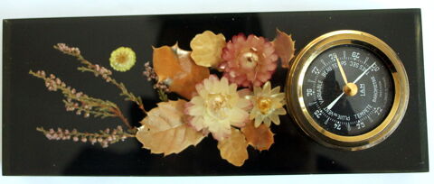 Inclusion vintage barom�tre feuilles d'automne 25 Issy-les-Moulineaux (92)