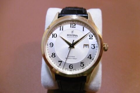 Montre Festina EXCELLENT ETAT
115 La Chapelle-sur-Erdre (44)